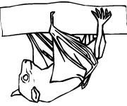 Coloriage et dessins gratuit Chauve-Souris en dormant à imprimer