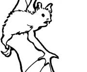 Coloriage Chauve-souris en noir et blanc maternelle gs