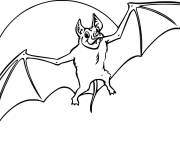 Coloriage Chauve-Souris r&eacute;aliste devant la lune
