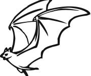Coloriage Chauve-souris stylis&eacute; &agrave; colori