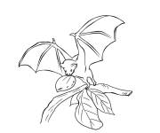 Coloriage chauve-souris sur une branche d'arbre