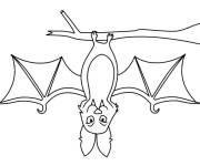 Coloriage chauve-souris t&ecirc;te en bas