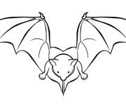 Coloriage et dessins gratuit Chauve-souris vue de face à imprimer