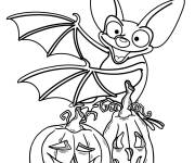 Coloriage Chauves-souris avec citrouille de Halloween &agrave; t&eacute;l&eacute;charger