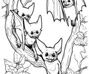 Coloriage Des petites chauves-souris sur l'arbre vous regardant