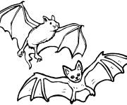 Coloriage et dessins gratuit Deux Chauves-Souris en noir et blanc &agrave; colorier à imprimer
