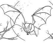 Coloriage Halloween chauve-souris maternelle GS