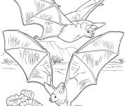 Coloriage Les chauve-souris adultes en volant sur les fleurs