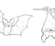 Coloriage Mammif&egrave;re Chauve souris symbole de Halloween