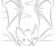 Coloriage Silhouette chauve-souris r&eacute;aliste