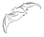 Coloriage et dessins gratuit Vol de chauve-souris &agrave; impri à imprimer