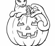 Coloriage Chat et citrouille d'halloween