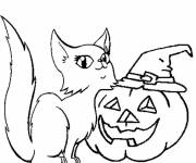 Coloriage Chat et drôle de citrouille d'Halloween