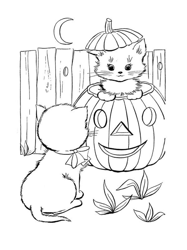 Coloriage chaton dans citrouille d'halloween dessin gratuit à imprimer