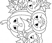 Coloriage Des Citrouilles d'Halloween en Champ