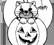 Coloriage Halloween Citrouille et Chat