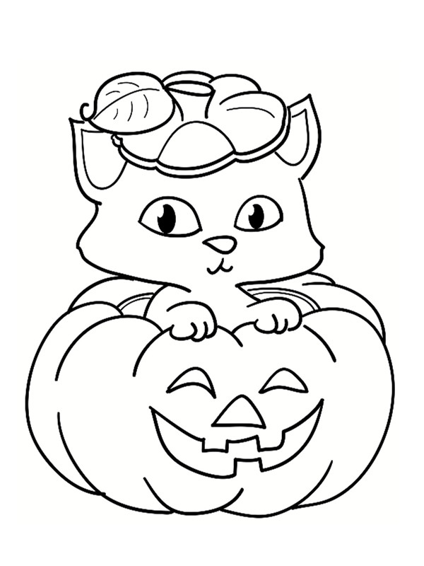 Coloriage Un Chat Mignon Sur La Citrouille D Holloween