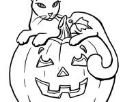 Coloriage Chat au beaux yeux sur citrouille d'Halloween