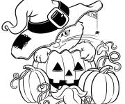 Coloriage Chaton et araign&eacute;e sur citrouille d'Halloween