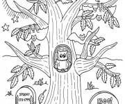 Coloriage et dessins gratuit Hibou sur sa maison dans l'arbre à imprimer