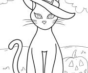 Coloriage Sorci&egrave;re chat enchant&eacute; en noir et blanc