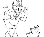 Coloriage Disney Daisy Duck