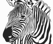 Coloriage Illusion d'optique &agrave; rayures z&eacute;br&eacute;es