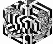 Coloriage Illusion d'optique cube et hibou