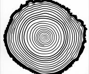 Coloriage Illusion d'optique de tranche d'arbre