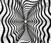 Coloriage Illusion d'optique syst&egrave;me visuel