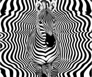 Coloriage Illusion d'optique z&eacute;br&eacute;es