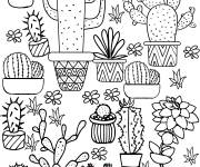 Coloriage Plantes D'int&eacute;rieur Kawaii