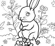 Coloriage Joli petit lapin de P&acirc;ques dans un champ de fleurs gratuit