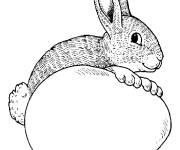 Coloriage Lapin de P&acirc;ques avec &oelig;uf sans d&eacute;coration