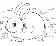 Coloriage Lapin de P&acirc;ques dans le champs