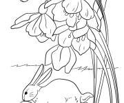 Coloriage Lapin qui cherche les oeufs de Paques