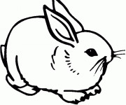 Coloriage Lapin assis