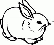 Coloriage et dessins gratuit Lapin assis à imprimer