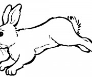 Coloriage et dessins gratuit Lapin en courant à imprimer