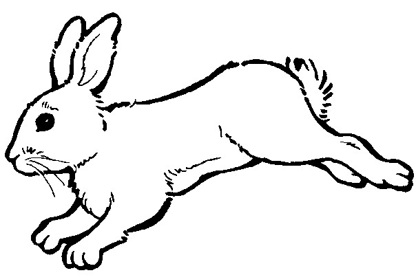 Coloriage Lapin Mignon Gratuit A Imprimer