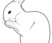 Coloriage Lapin en train de se nettoyer