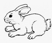 Coloriage et dessins gratuit Lapin Mignon à découper à imprimer