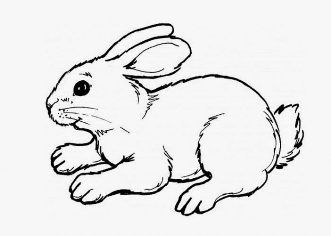 Coloriage Lapin Mignon à Découper Dessin Gratuit à Imprimer