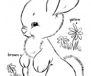 Coloriage et dessins gratuit Lapin Mignon au jardin à imprimer