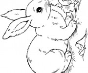 Coloriage Lapin Mignon dans le Champ