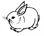 Coloriage Lapin Mignon en ligne