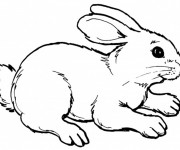 Coloriage Lapin Mignon en noir et blanc