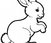 Coloriage et dessins gratuit Lapin rigolo à imprimer