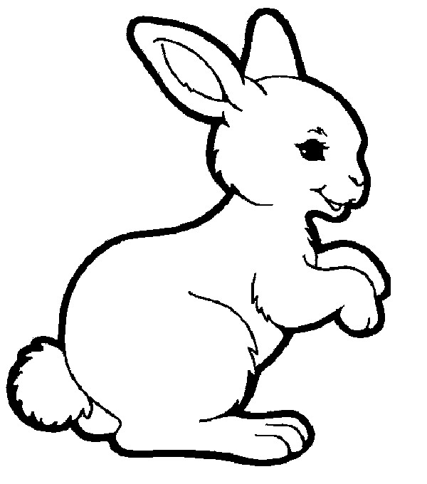 Coloriage Lapin Rigolo Dessin Gratuit à Imprimer