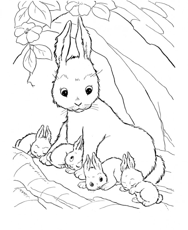 Coloriage Lapin Mignon gratuit à imprimer liste 20 à 40